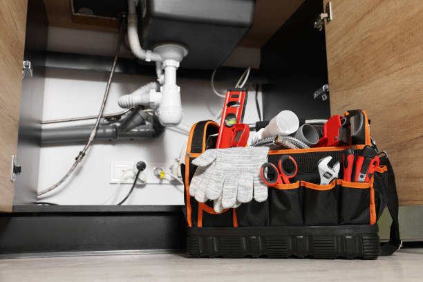 Best Same-Day Plumbing Service  in Bellevle, IL