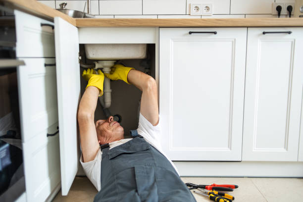 Best Residential Plumbing Services  in Bellevle, IL