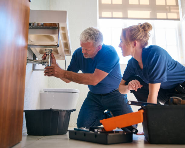 Best Clogged Drain Plumber  in Bellevle, IL