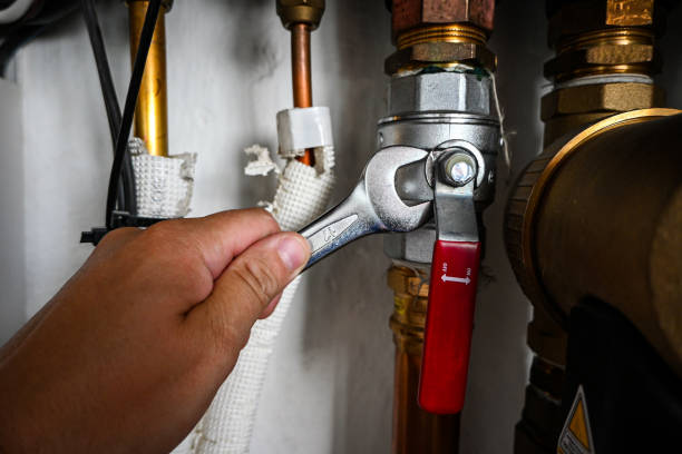 Best Septic Systems  in Bellevle, IL